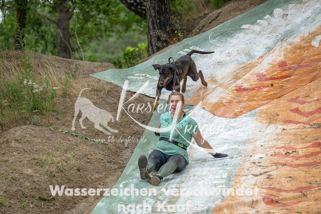 1441_ZZ91295-Bearbeitet | kk-dogfotos