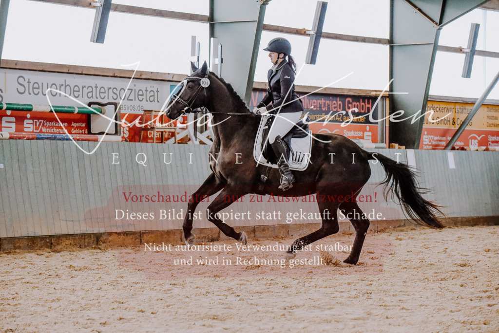 DSC_7652 | Pferde- und Turnierfotografie in Westsachsen. Pferdeportraits, Auftragszeichnungen und intuitive Kunst.