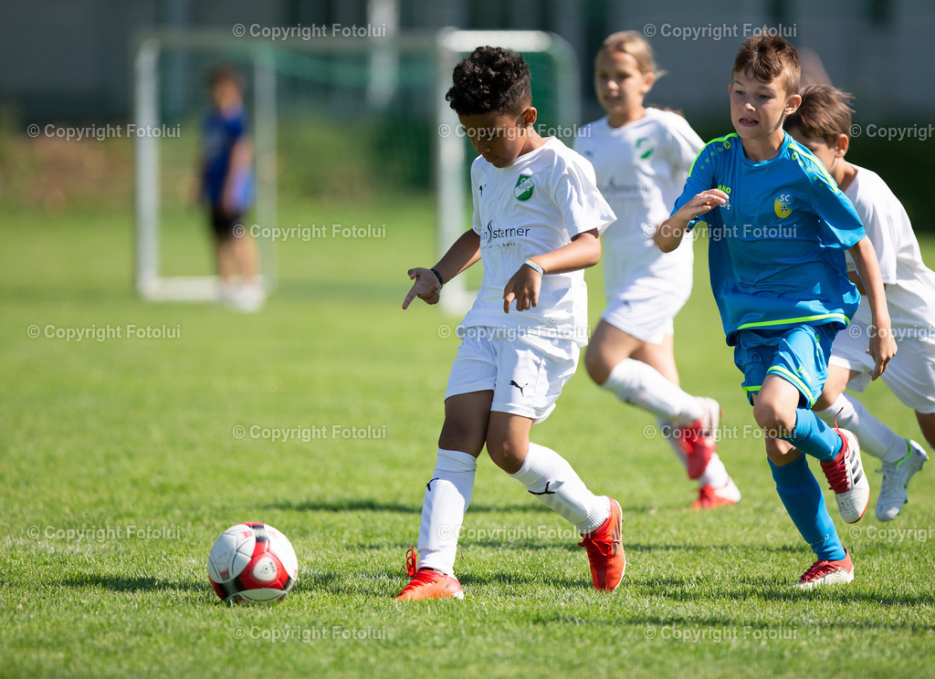 A_LUI_12062022_09 | bilder, linz, photo, foto, fussball, sport, fotolui, bundesliga