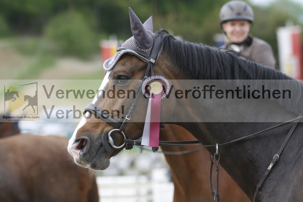 _MG_5312 | equestrian-live-com