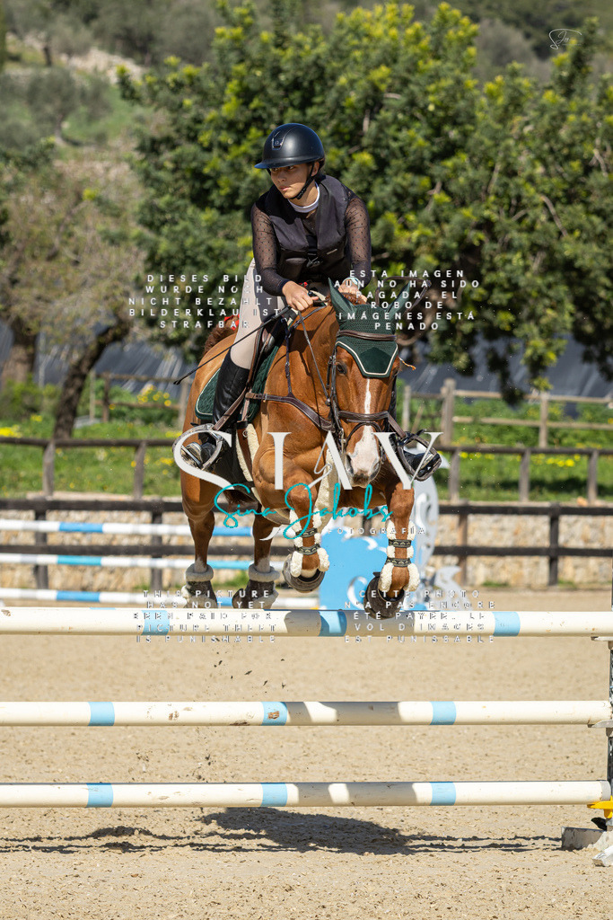 IMG_6521 | s-jay-photography - Realisiert mit Pictrs.com