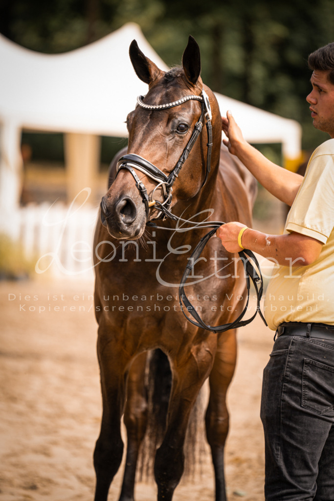 7.Fr00101 | Leoni Ertmer Photography - Realisiert mit Pictrs.com