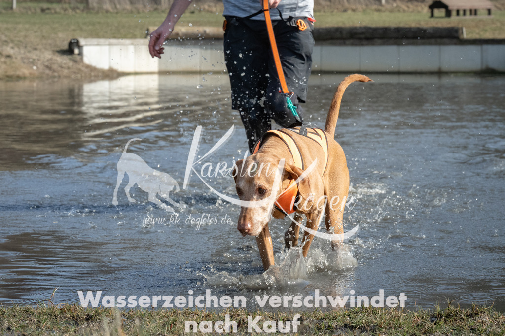 1333_ZZ97219 | kk-dogfotos