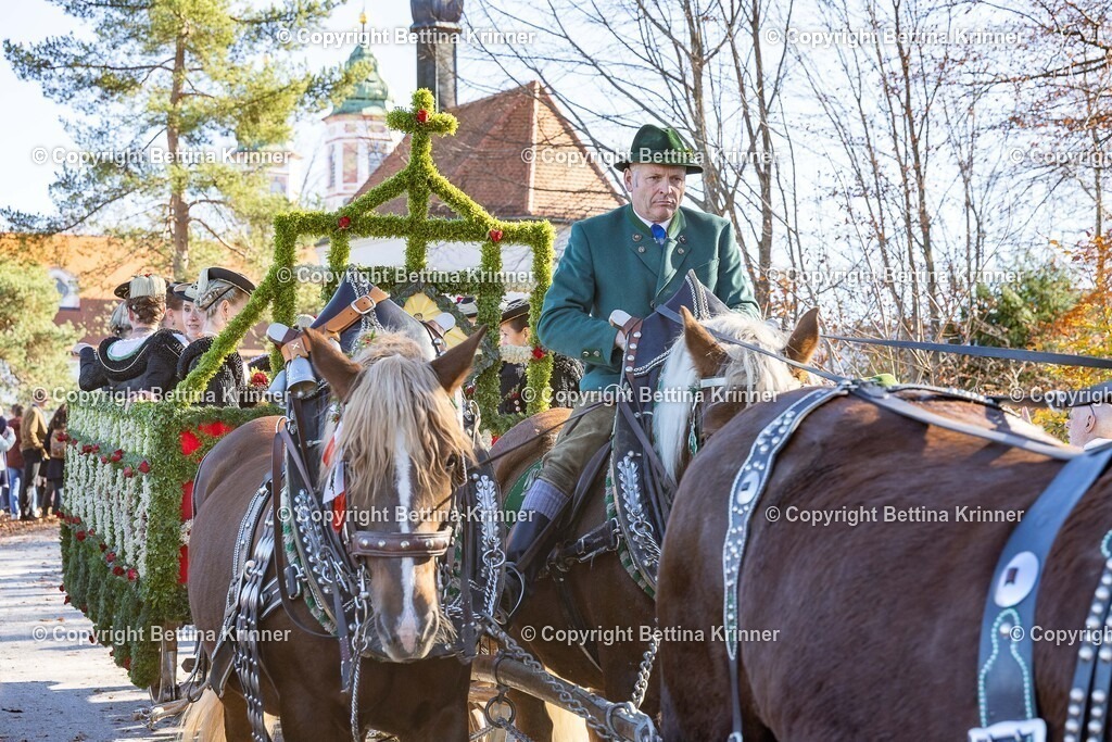 LBT25-1022 | foto-bettina-krinner - Realisiert mit Pictrs.com
