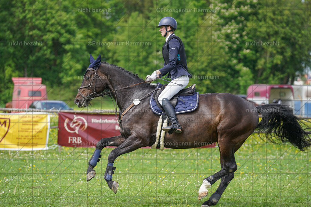 20240509-FAH02756 | Turnierbilder der Turnierfotografen Bayern, Pferdesport Fotografie, Reitsportbilder, Turnier Landberg am Lech, Turnierbilder bayern, Fotoagentur Herrmann