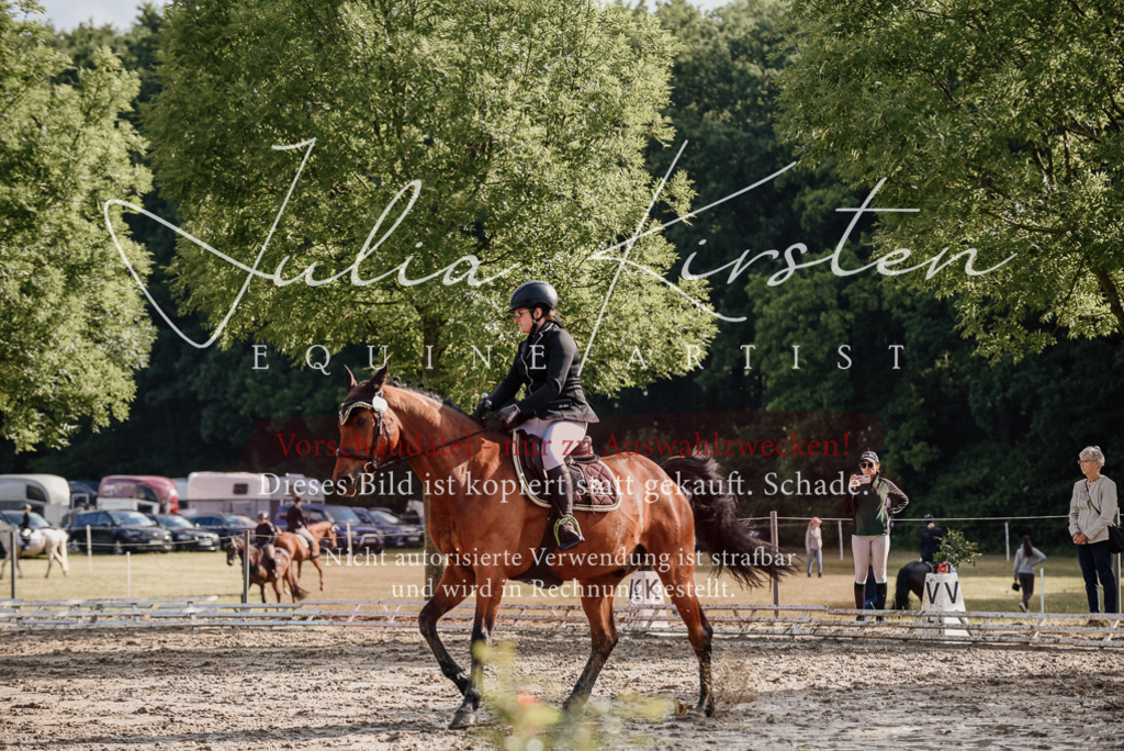 DSC_8499 | Pferde- und Turnierfotografie in Westsachsen. Pferdeportraits, Auftragszeichnungen und intuitive Kunst.