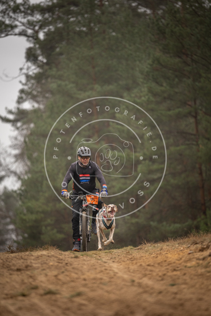 Pfotenfotografie_DV3A3021 | Hundefotografie, Tierfotograf, Pfotenfotografie, Fotoshooting Hund, Hunde Portrait, Hundesport, Hundeportraits, Heideshooting, Hunde, Sportfotograf, Hundefotograf, Turnierhundsport, THS,  - Realisiert mit Pictrs.com