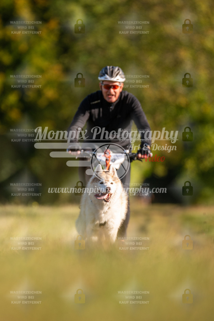 CDLBDB_15_10_2023_Dimanche-186 | PayLife