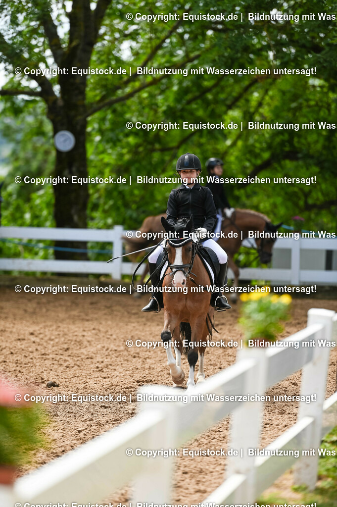 20230716_10-3_Reiter-WB Schritt - Trab - Galopp_0152 | equistock