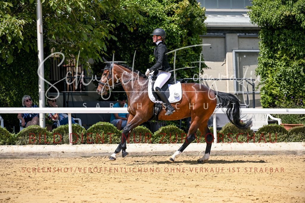 Schugtsche-Aluta25-49.Dressurpferdeprf.A-207 | Schugtsche Fotografie - Realisiert mit Pictrs.com