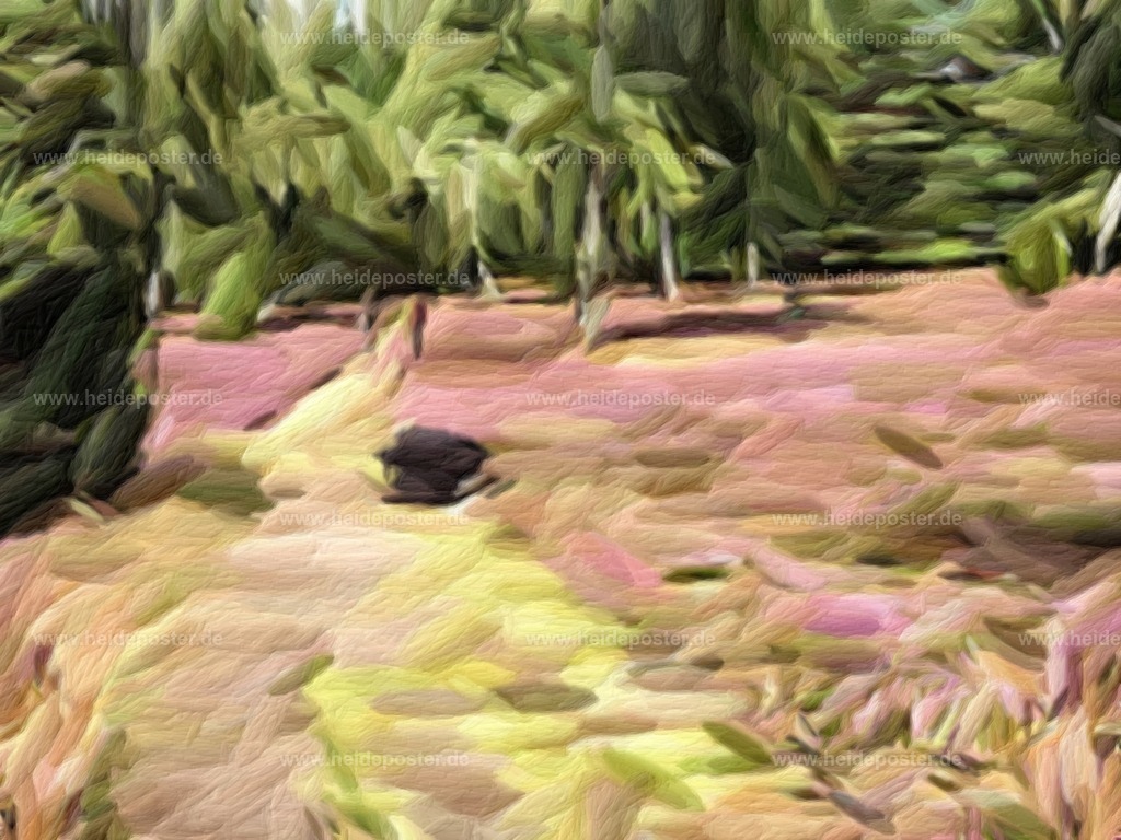 brushed_14ell054 | Poster aus der Lüneburger Heide - Realisiert mit Pictrs.com