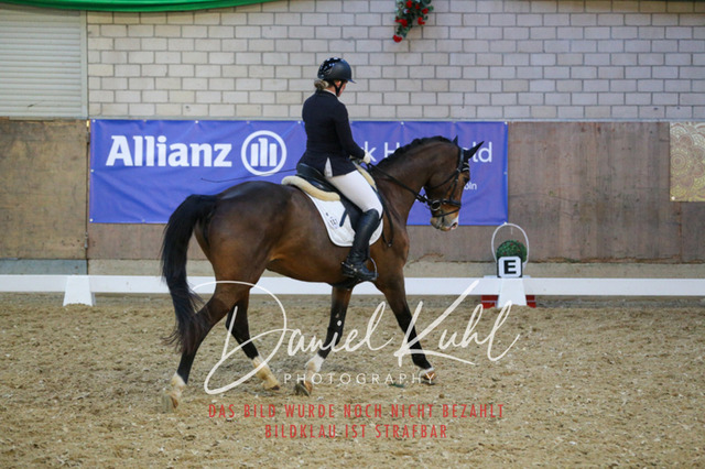 IMG_3020 | Turnierfotos kaufen im Webshop von Daniel Kuhl Photography – entdecke professionelle Reitsportfotos aus Turnieren & Events. Hochwertige Turnierbilder online bestellen & sichern. Jetzt Fotos von Reitsportturnieren kaufen!