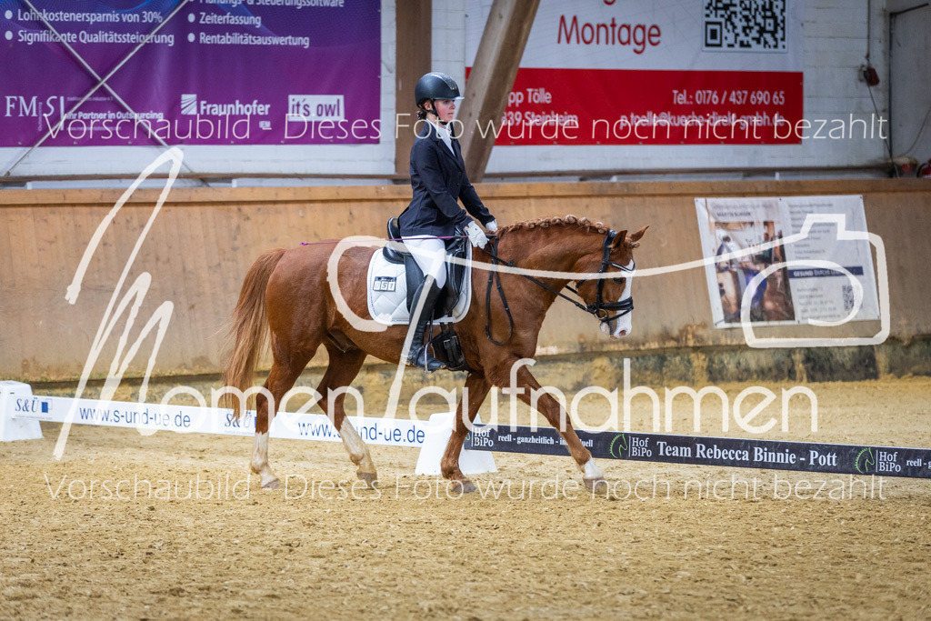 _M2A1629 | MomenTaufnahmen Pferdesportfotos