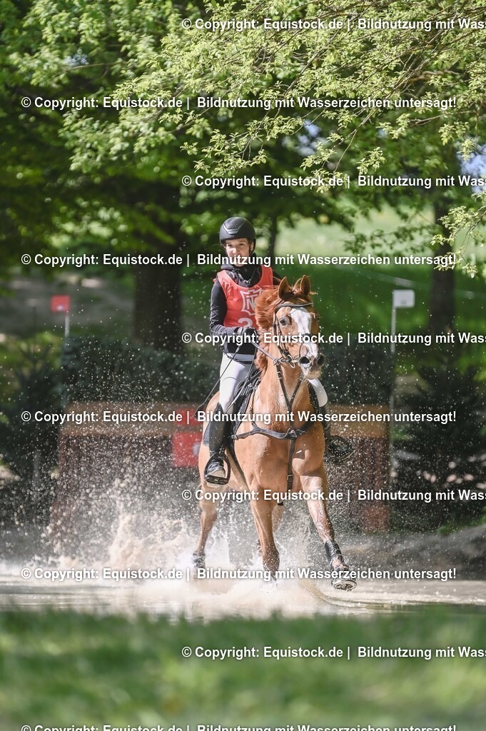 20250517_CCI2_Gelände_0867 | Foto: Thomas Hartig