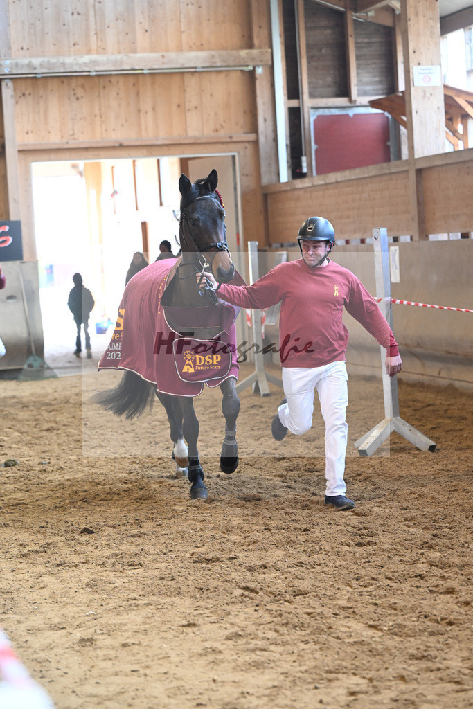 Kat-Nr. 33 Carassina S v. Chinchero_Schaefer_16251163 | hf-fotografie - Realisiert mit Pictrs.com