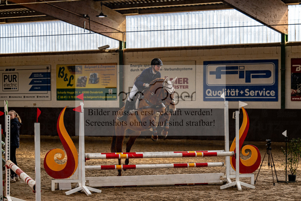 20240309-DOS_5979 | Entdecke hochwertige Reitturnierfotos von Foto Oger. Professionell, emotional und authentisch – jetzt Lieblingsmomente im Shop bestellen. - Realisiert mit Pictrs.com