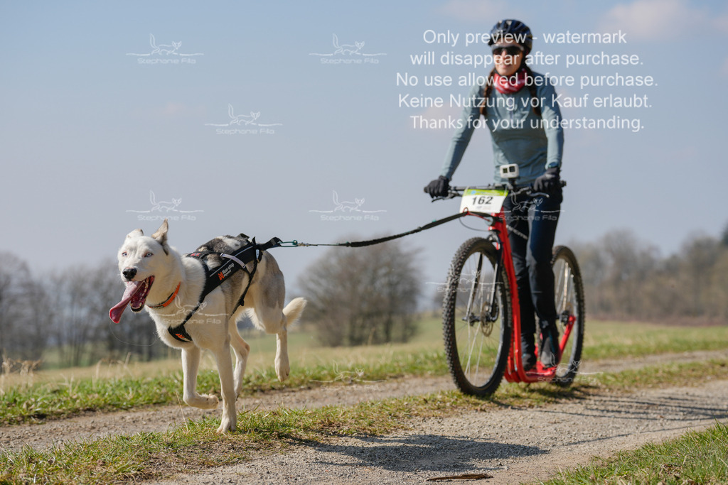 Scooter_Lang-159 | stephaniefillaphotographie - Realisiert mit Pictrs.com