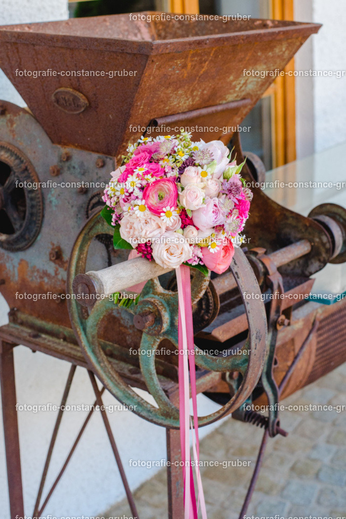 1015 | Fotografie Constance Gruber - Realisiert mit Pictrs.com