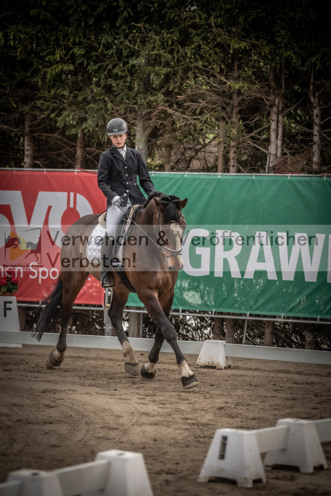 DSC_8350 | equestrian-live-com