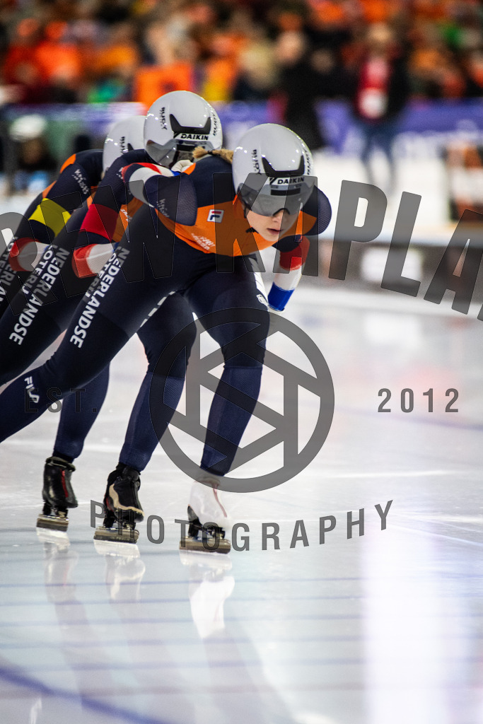 DKP-1912 | Drew Kaplan Photography
