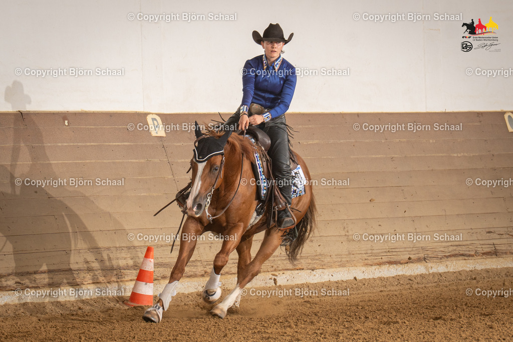 LMS08021 | BS-foto