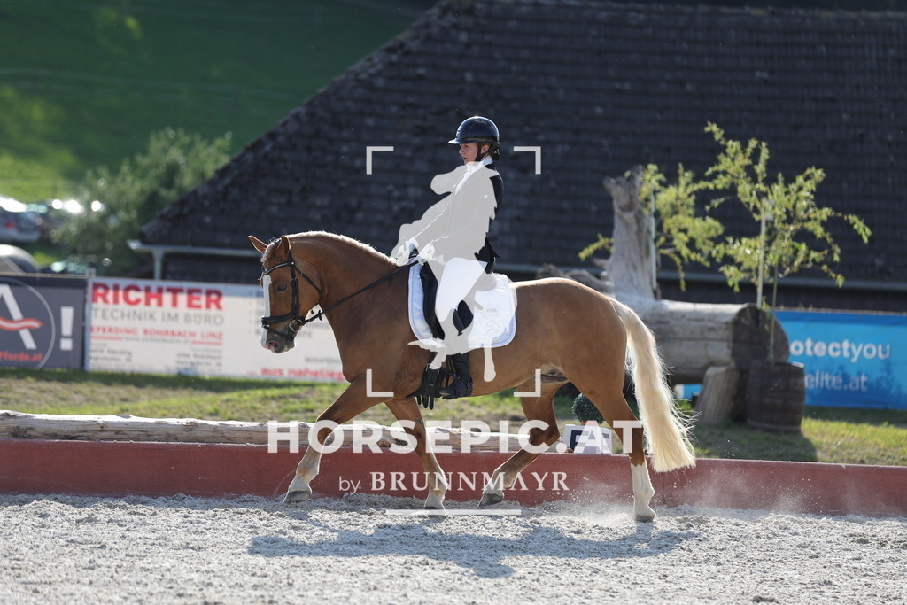 0P6A8894 | Willkommen bei Brunnmayr - Design & Fotografie – Ihrem Spezialisten für Reitturniere und Pferdeveranstaltungen in Oberösterreich, Salzburg und Bayern! Seit über 17 Jahren sind wir leidenschaftlich dabei.