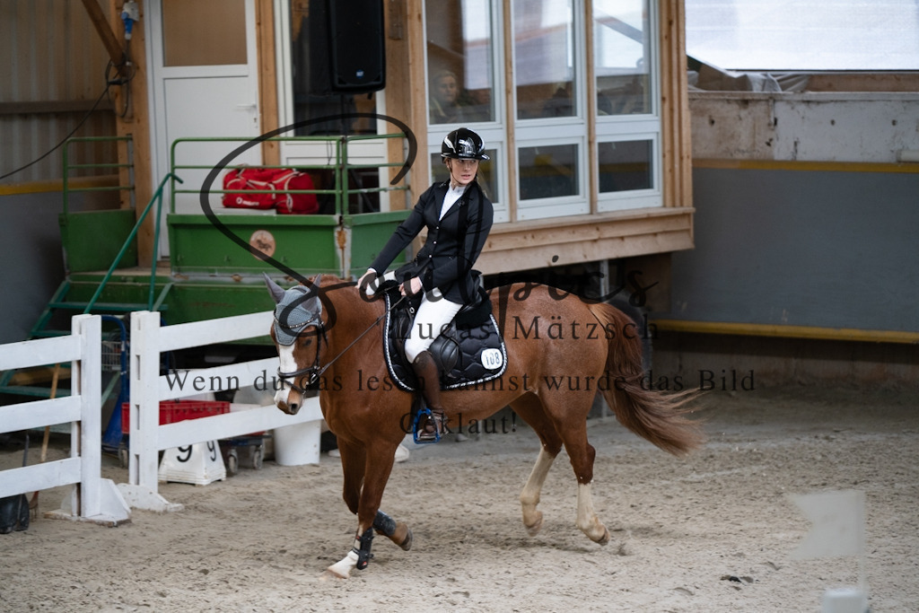 A7V01234 | Pferdefotograf