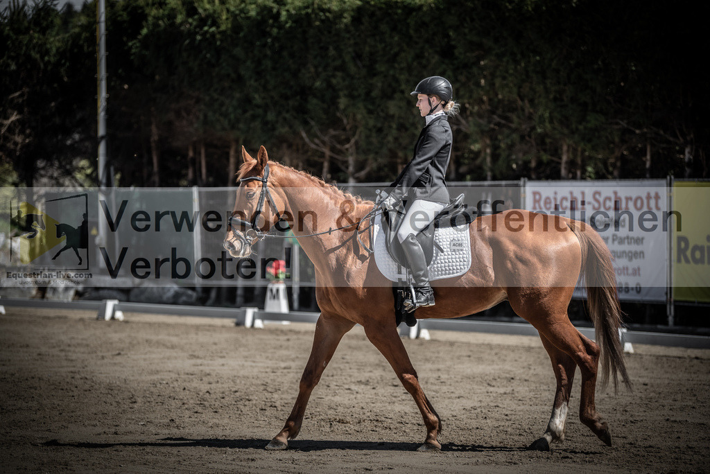 DSC_0101 | equestrian-live-com