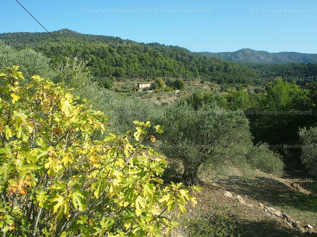 PA272113 | photograph1 - Realisiert mit Pictrs.com