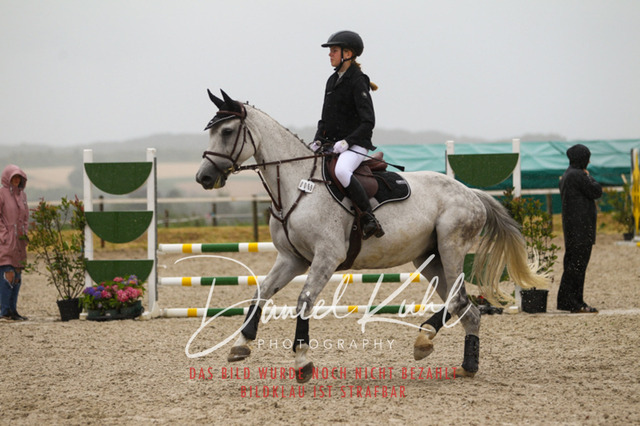 DKP47412 | Turniersportfotografie; Pferdefotografie; Dressurfotografie