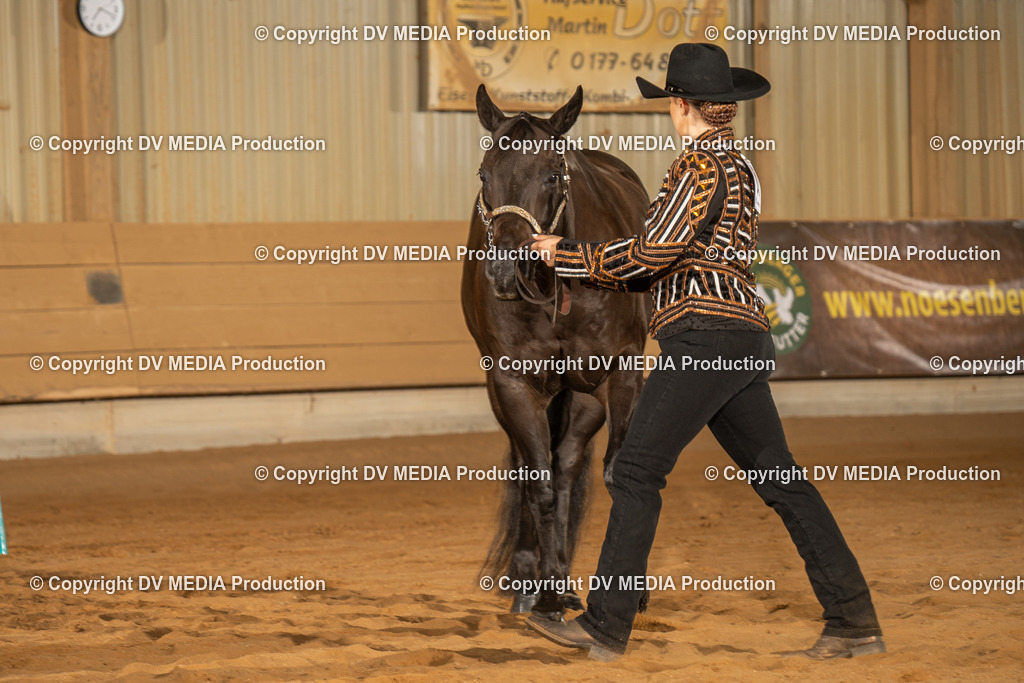 NID02390 | dv-media-shop - Realisiert mit Pictrs.com