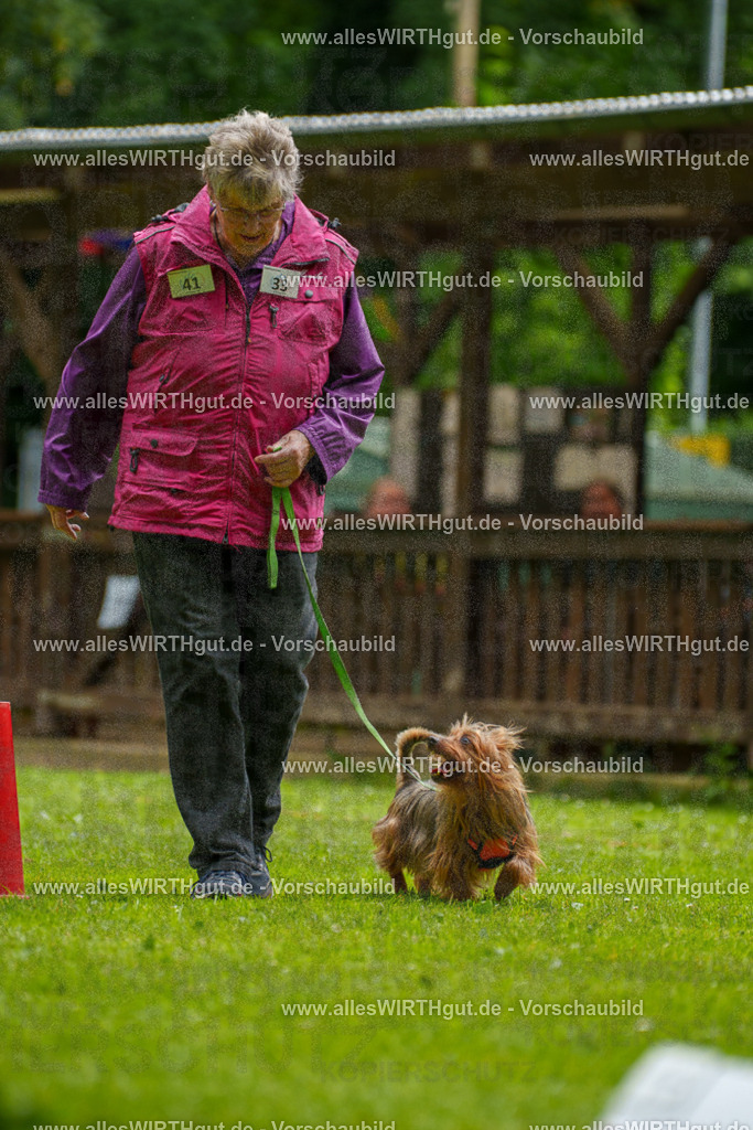 @allesWIRTHgut_Tierfotografie - www.allesWIRTHgut.de - 122339-7R508940 | Professionelle Tierfotografie in Mönchengladbach von Daniel Wirth (allesWIRTHgut). Liebevolle & natürliche Bilder von Hunden & Katzen für unvergessliche Erinnerungen.