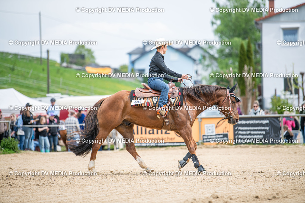 Heiligenwald Tag 2-1870 | dv-media-shop - Realisiert mit Pictrs.com