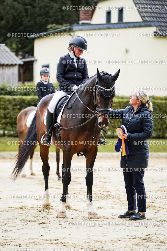 DSC04952 | Pferdegrafie