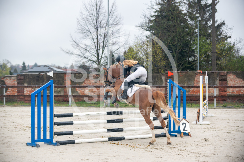 DSC_8302 | sattelsport - Realisiert mit Pictrs.com