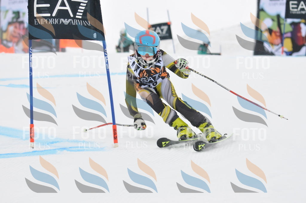 DSC_7531 | holidayphoto