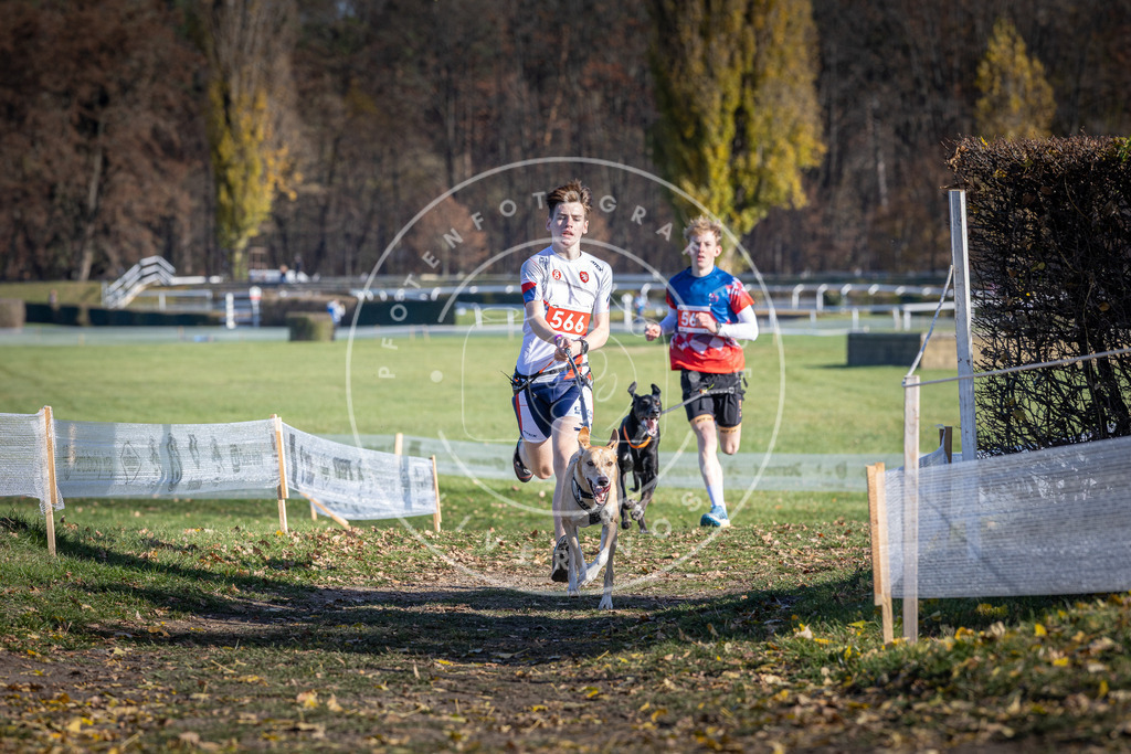 CaniXpix_DV3A8790 | Hundefotografie, Tierfotograf, Pfotenfotografie, Fotoshooting Hund, Hunde Portrait, Hundesport, Hundeportraits, Heideshooting, Hunde, Sportfotograf, Hundefotograf, Turnierhundsport, THS,  - Realisiert mit Pictrs.com