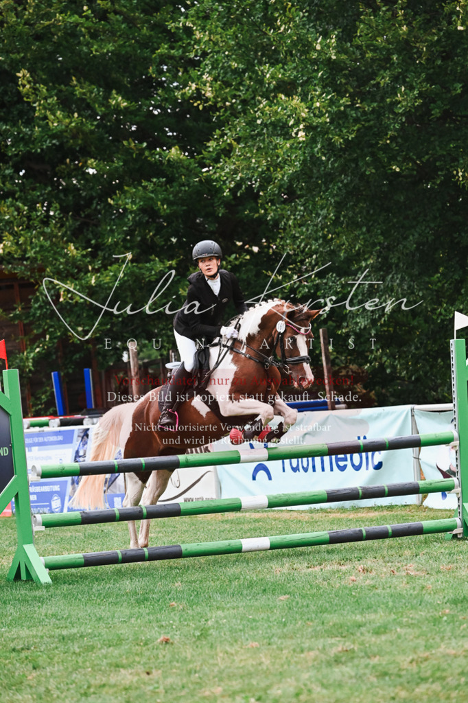 DSC_6263 | Pferde- und Turnierfotografie in Westsachsen. Pferdeportraits, Auftragszeichnungen und intuitive Kunst.