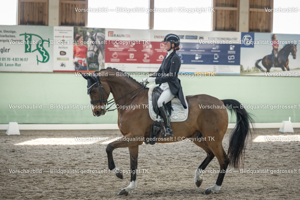 _D5A9862 | Emotionale Pferde- & People-Fotografie rund um Heidelberg, Leimen & Umgebung. Natürliche Fotos von Pferd, Mensch & Familie. Jetzt Termin sichern!