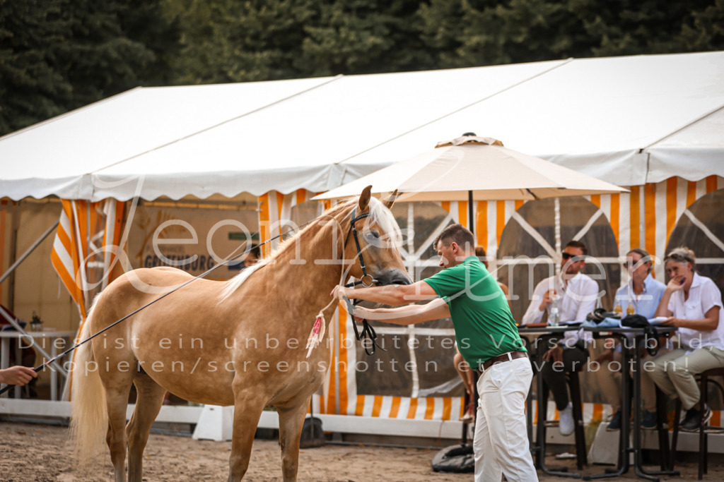 06.So00056 | Leoni Ertmer Photography - Realisiert mit Pictrs.com