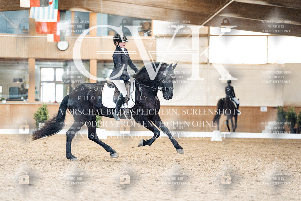 CK909787 | Turnierfotografie Pferdefotografie Trier Rheinland-Pfalz Pferdesport Reitsport Tierfotografie Sportfotografie Pferdevideo Pferdevideografie Equestrianvideography equestrianphotography  - Realisiert mit Pictrs.com