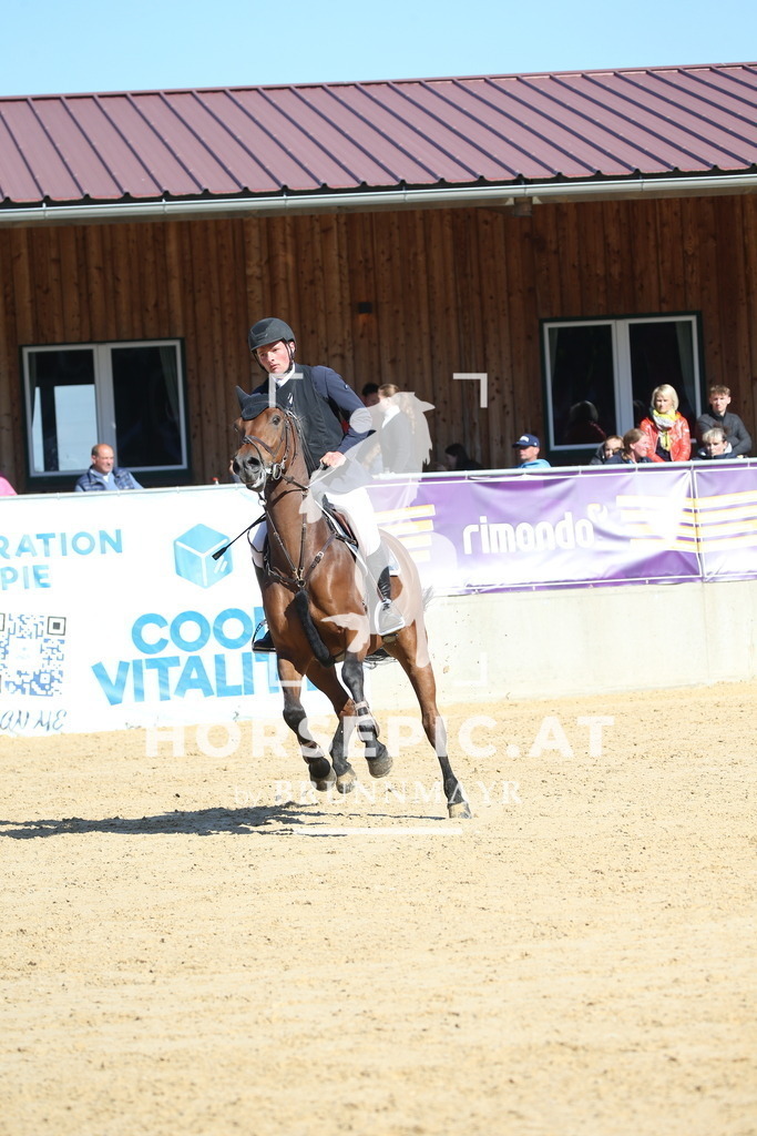 DL2Q2642 | Willkommen bei Brunnmayr - Design & Fotografie – Ihrem Spezialisten für Reitturniere und Pferdeveranstaltungen in Oberösterreich, Salzburg und Bayern! Seit über 17 Jahren sind wir leidenschaftlich dabei.