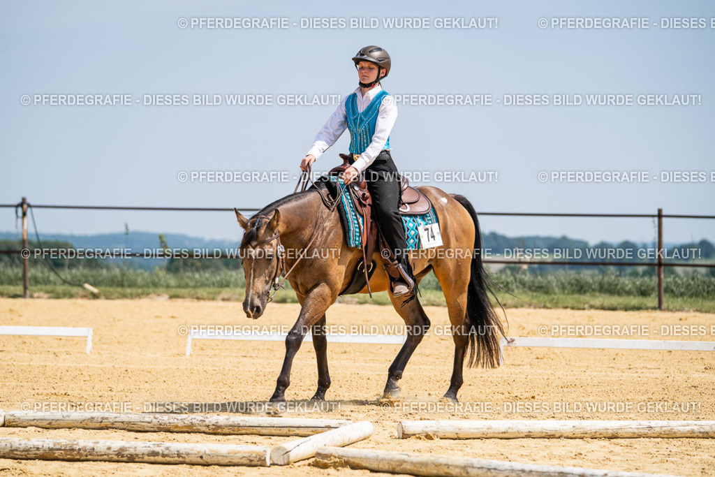 DSC00959 | Pferdegrafie