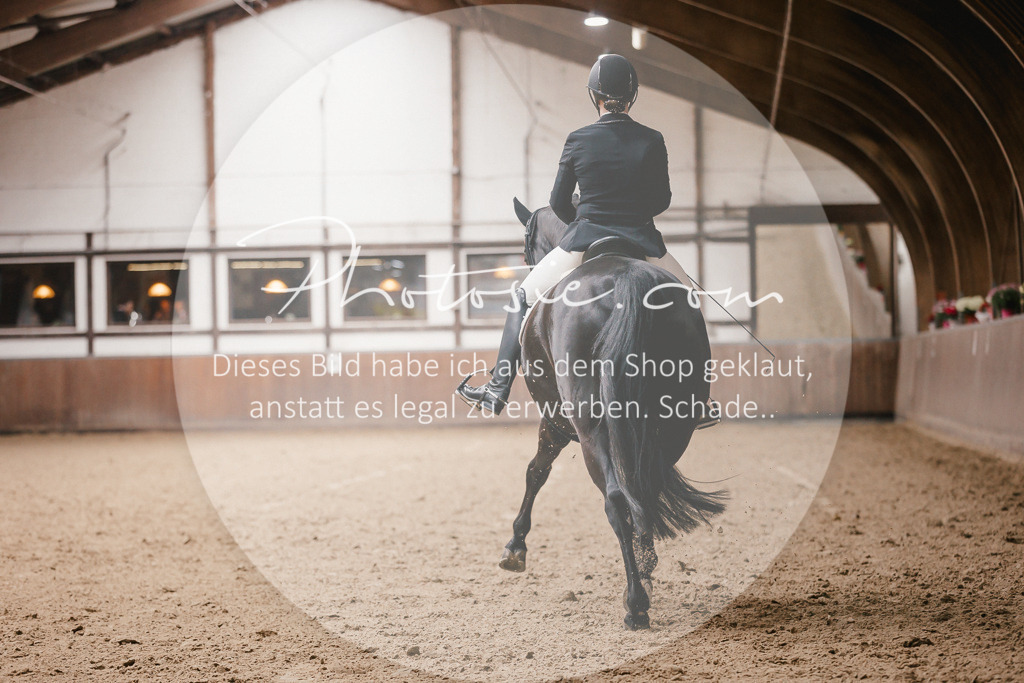 3I6A8559 | Stimmungsvolle Portraits und Reitsportfotografie im Ruhrgebiet und im Münsterland.

Pferdefotografie, Hundefotografie, Tierfotografie, Reportagen, Portraits von Tier und Mensch, Turnierfotografie in Bochum, Recklinghausen, Marl, Haltern am See, Dülmen.. - Realisiert mit Pictrs.com