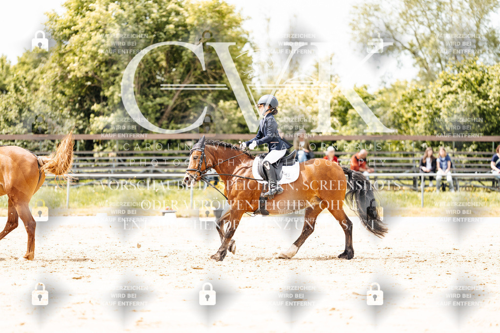 CK902389 | Turnierfotografie Pferdefotografie Trier Rheinland-Pfalz Pferdesport Reitsport Tierfotografie Sportfotografie Pferdevideo Pferdevideografie Equestrianvideography equestrianphotography  - Realisiert mit Pictrs.com