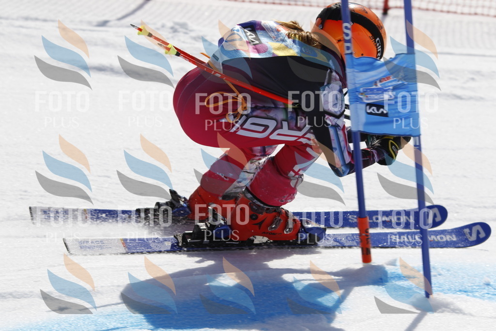 _U3G0006 | holidayphoto