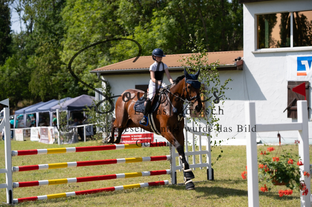 A7V06496 | Pferdefotograf