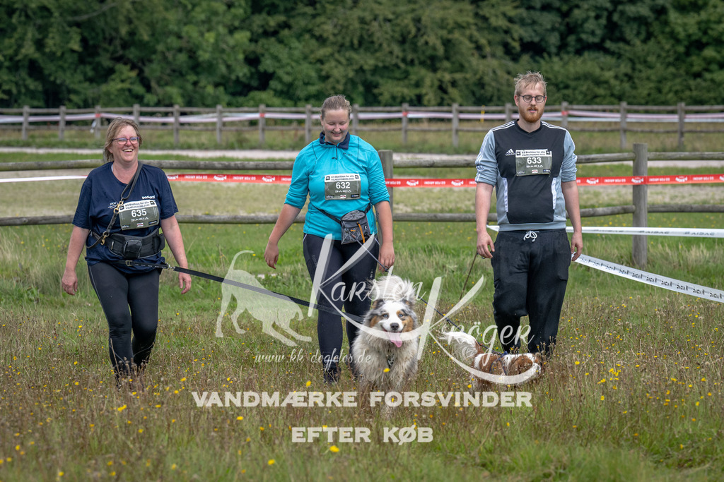 1316_ZZ90698 | kk-dogfotos