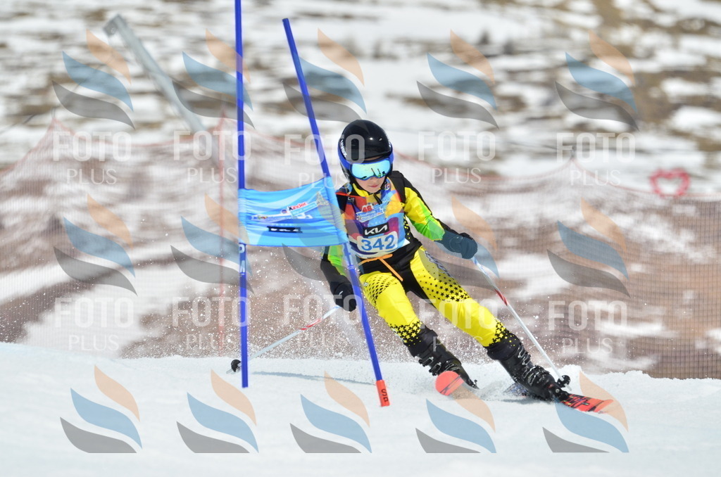 _ELE2567 | holidayphoto