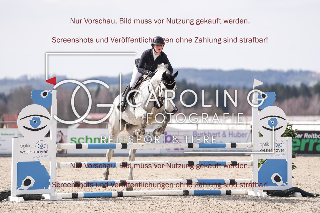 DSC05859 | Late_entry_Springturnier_Bad_Wurzach, Antonia_Ellinger, Ci_Ci_Margot